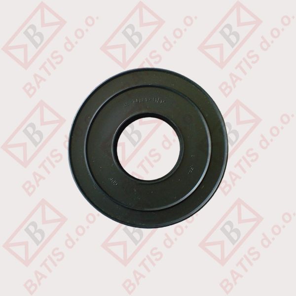 Slika SEM. 35-74/81*11/15 BAUCKNEHT IG1001
