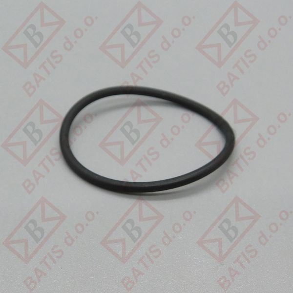 Slika O RING 28-31