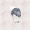 Slika BOSCH PUMPA 141326-142154